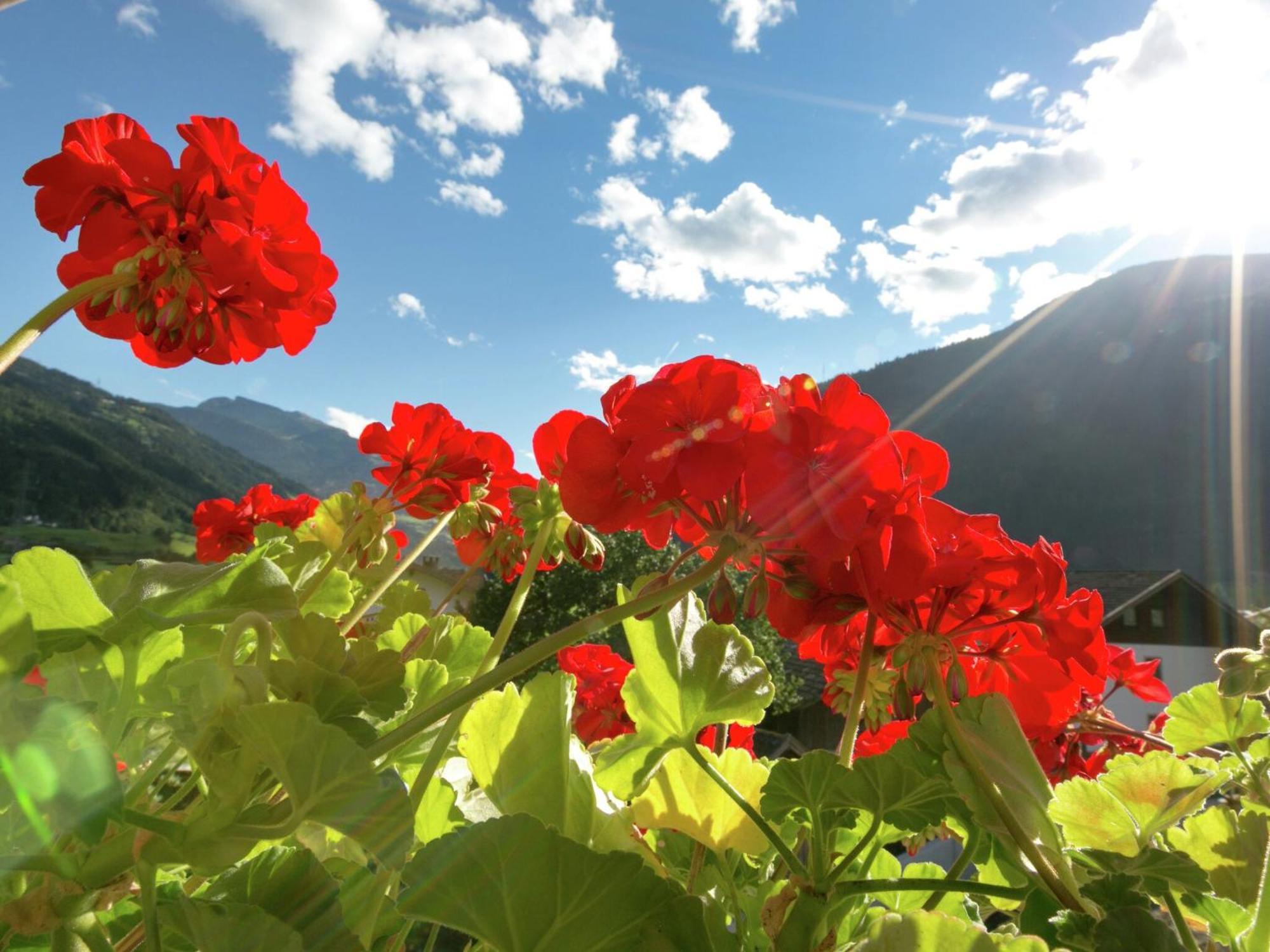 Apartment With Terrace In Aschau Im Zillertal Exterior foto